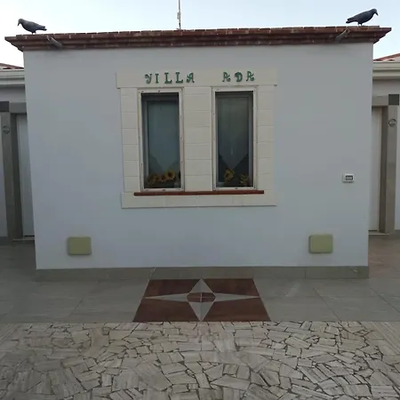 Ada Avola